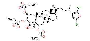 Bromochlorotopsentiasterol sulfate D